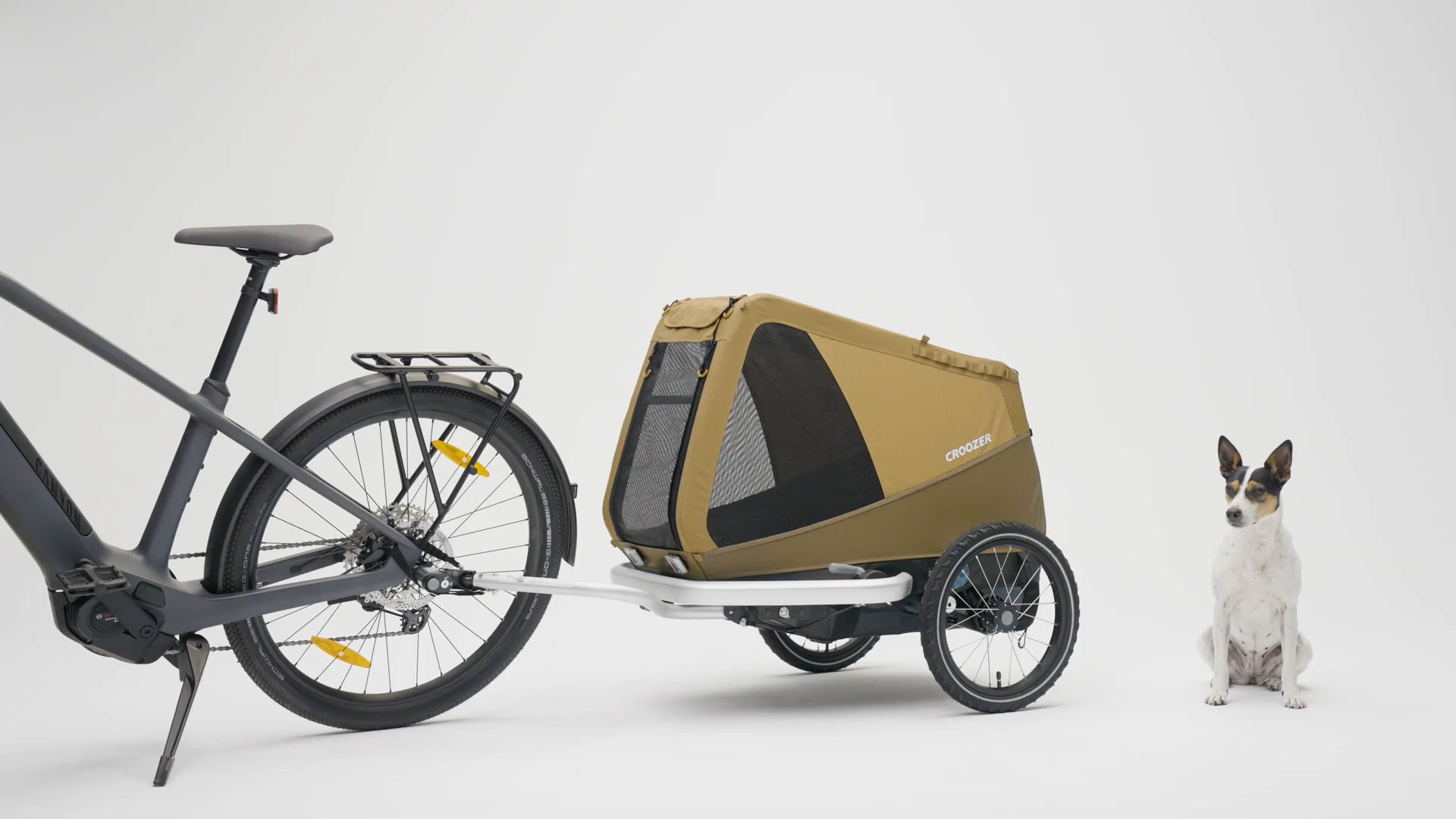 Croozer Dog Enna attached to bike - side view - small dog sitting beside